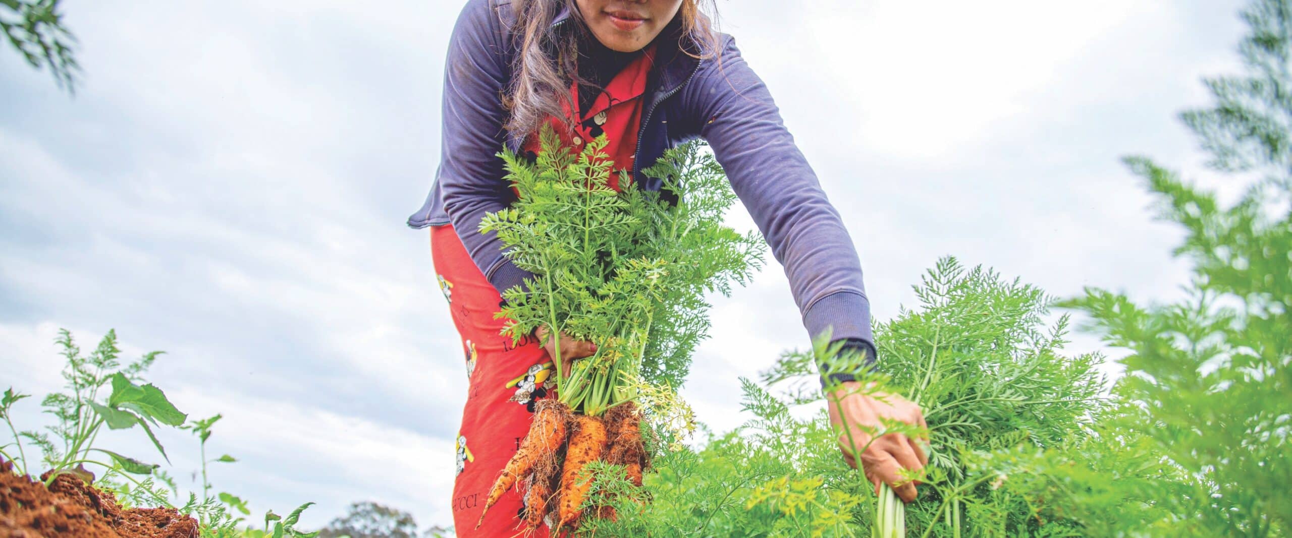 Home Gardening 101: How to Plant - Big Green