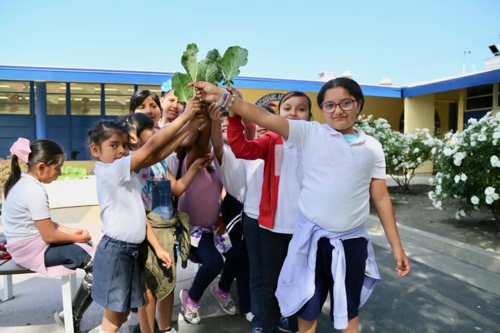 Elementary school kids holding kale