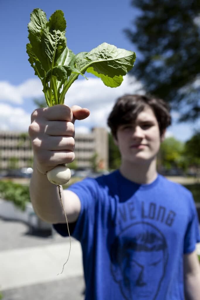 High school boy holding a white radish