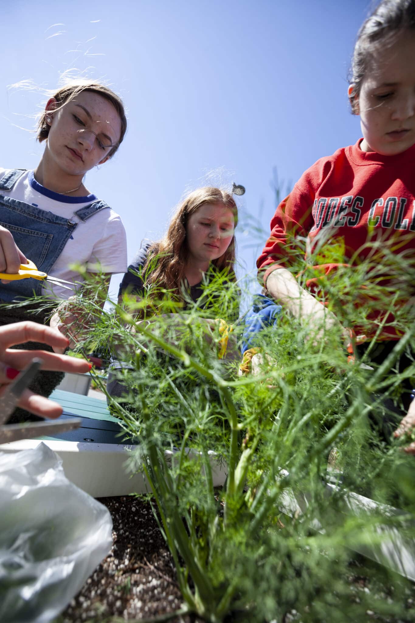 Big Green | Growing Food Changes Lives