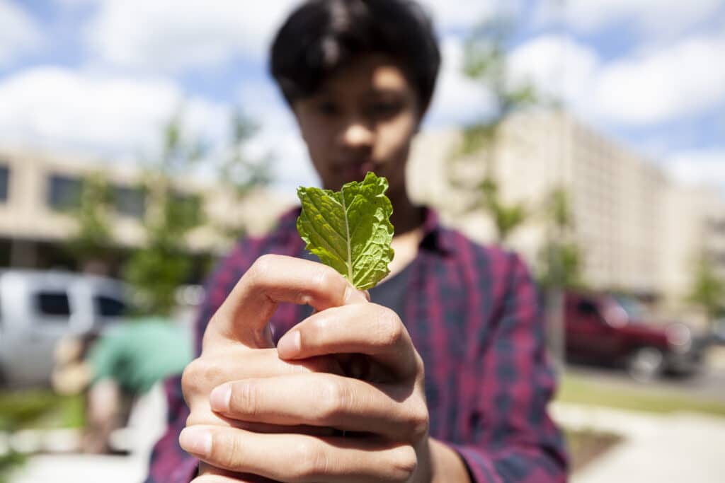 High school boy holding a leaf