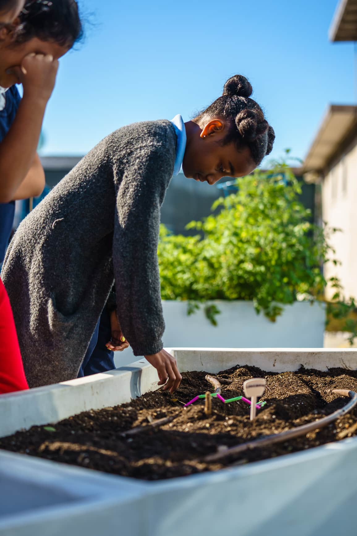 Big Green | Growing Food Changes Lives