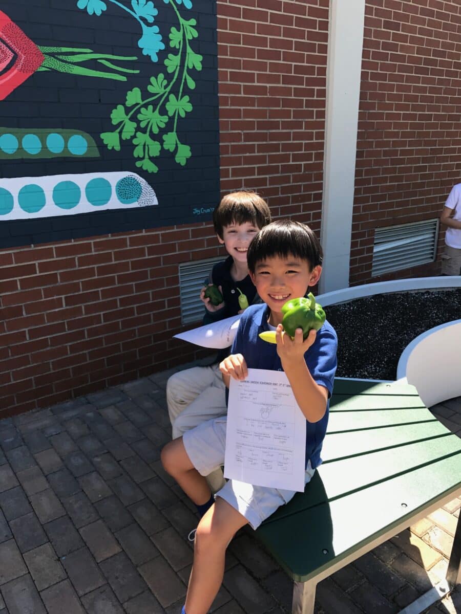 2 young boys outside in the garden holding peppers and papers