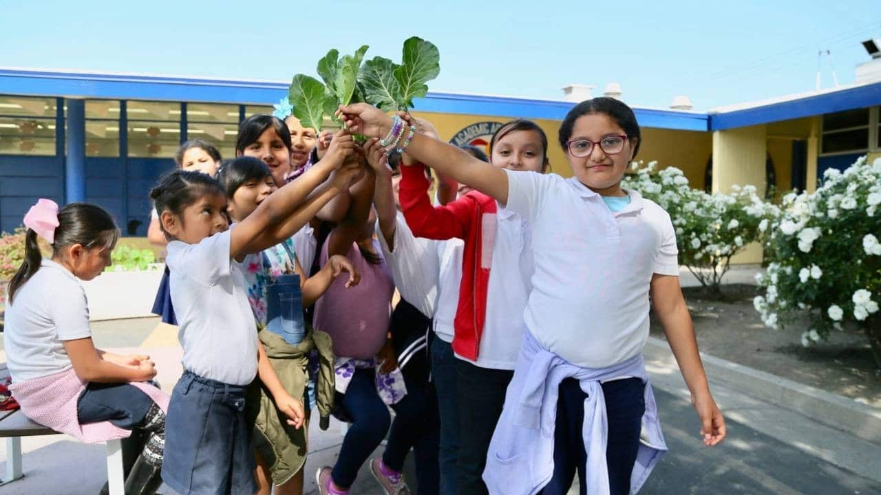 Jumpstart: Teacher Resources - Big Green