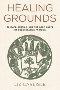 Healing Grounds book cover